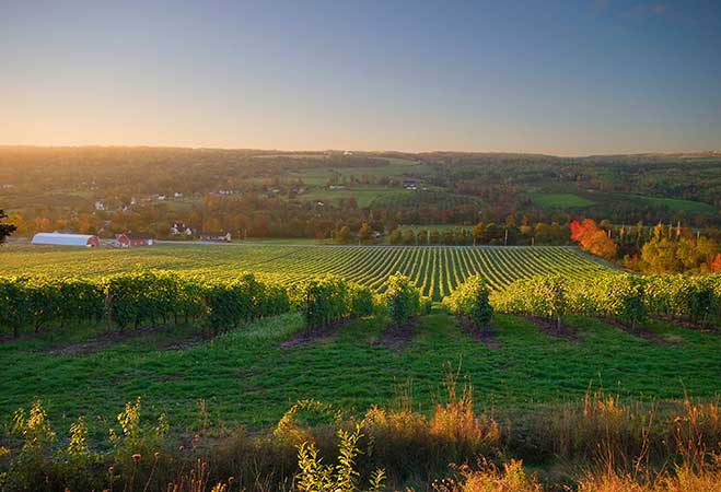 50 Grad Nord: Das Weinland Kanada auf der ProWein 2016